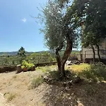 Carmela Villa Lastra a Signa